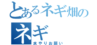 とあるネギ畑のネギ（水やりお願い）