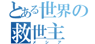 とある世界の救世主（メシア）