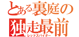 とある裏庭の独走最前線（レッドスパイダー）