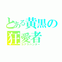 とある黄黒の狂愛者（コアラハンター）