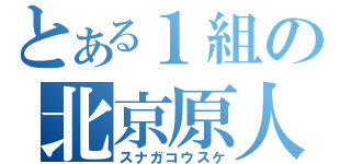 とある１組の北京原人（スナガコウスケ）