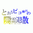 とあるピコ麻呂の悪霊退散（ゴーストハント）