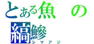 とある魚の縞鰺（シマアジ）