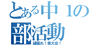 とある中１の部活動（頑張れ！県大会！）