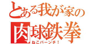 とある我が家の肉球鉄拳（ねこパーンチ！）