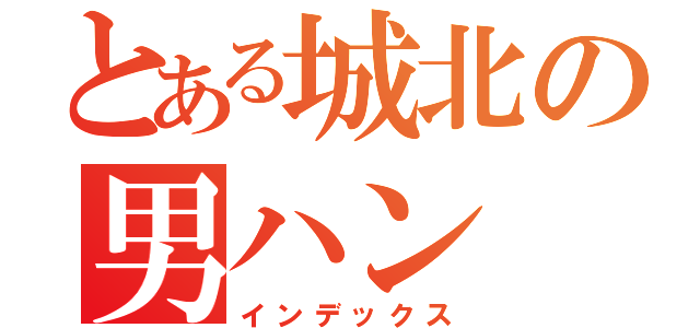 とある城北の男ハン（インデックス）