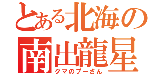 とある北海の南出龍星（クマのプーさん）