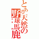 とある天然の野球馬鹿（山本 武）