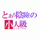 とある陰險の小人級（インデックス）