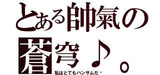 とある帥氣の蒼穹♪。（私はとてもハンサムだ〜）