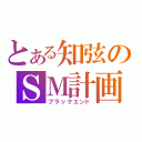 とある知弦のＳＭ計画（ブラックエンド）