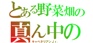 とある野菜畑の真ん中の（キャベタリアンＪｒ．）