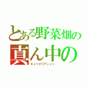 とある野菜畑の真ん中の（キャベタリアンＪｒ．）