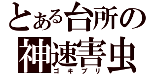 とある台所の神速害虫（ゴキブリ）