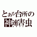 とある台所の神速害虫（ゴキブリ）