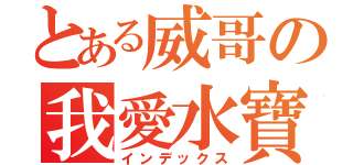 とある威哥の我愛水寶（インデックス）