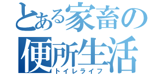 とある家畜の便所生活（トイレライフ）