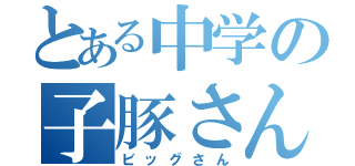 とある中学の子豚さん（ビッグさん）