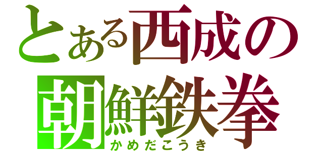 とある西成の朝鮮鉄拳（かめだこうき）