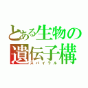 とある生物の遺伝子構造（スパイラル）