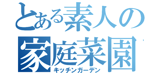 とある素人の家庭菜園（キッチンガーデン）