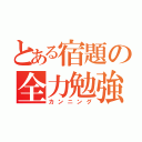 とある宿題の全力勉強（カンニング）