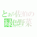 とある佐伯の緑色野菜（ブロッコリー）