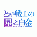 とある戦士の星之白金（スタープラチナ）