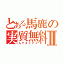 とある馬鹿の実質無料Ⅱ（ムカキンゼイ）