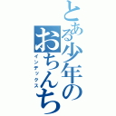 とある少年のおちんちん（インデックス）