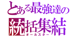 とある最強達の統括集結（オールスター）