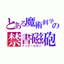 とある魔術科学の禁書磁砲（インデールガン）