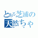 とある芝浦の天然ちゃん（みほ）