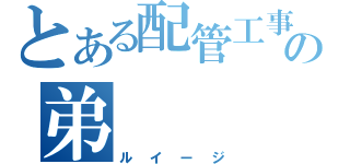 とある配管工事の弟（ルイージ）