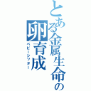 とある金属生命体の卵育成（ベビーシッター）