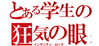 とある学生の狂気の眼（インサニティ・ロック）