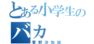 とある小学生のバカ（菅野沙也加）