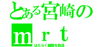 とある宮崎のｍｒｔ（はたらく細胞を放送）