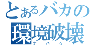 とあるバカの環境破壊（ナハ☆）