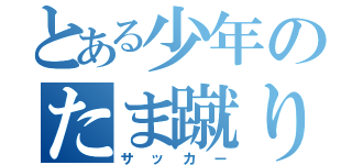 とある少年のたま蹴り（サッカー）