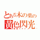 とある木の葉の黄色閃光（波風ミナト）