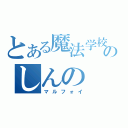 とある魔法学校のしんの（マルフォイ）