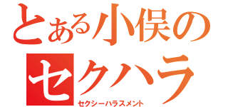 とある小俣のセクハラ（セクシーハラスメント）