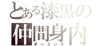 とある漆黒の仲間身内（チーミング）