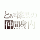 とある漆黒の仲間身内（チーミング）