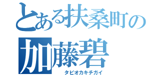 とある扶桑町の加藤碧（　　タピオカキチガイ）