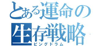 とある運命の生存戦略（ピングドラム）