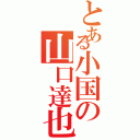 とある小国の山口達也（）