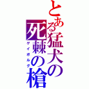 とある猛犬の死棘の槍（ゲイボルグ）