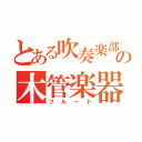 とある吹奏楽部の木管楽器（フルート）